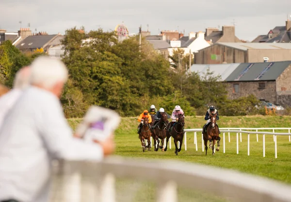 Watching horse race coming in on the home straight