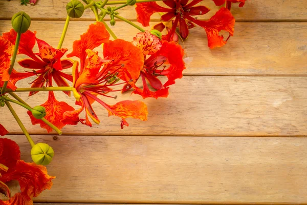 Orange flowers on old wooden table.