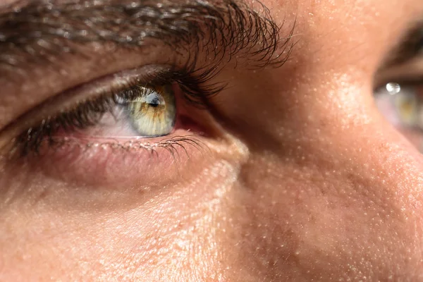 Macro shot of man's eye