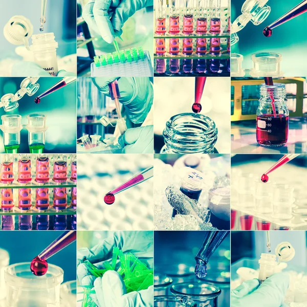 Work in the microbiology laboratory, medical research set