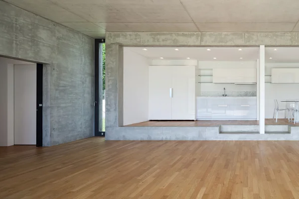 Modern kitchen of concrete apartment