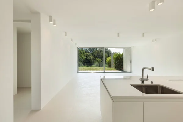 Domestic kitchen of a modern house