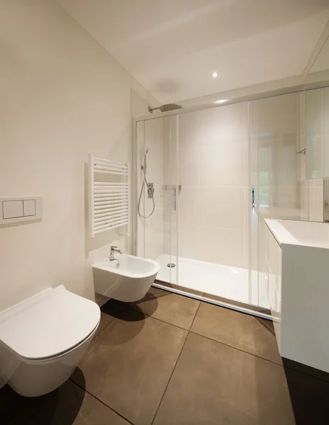 Modern bathroom with shower