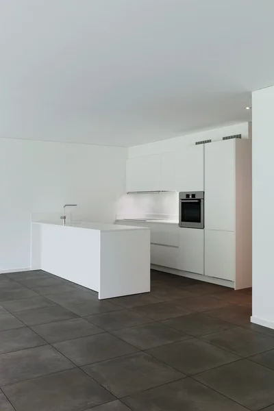 Modern apartment, domestic kitchen