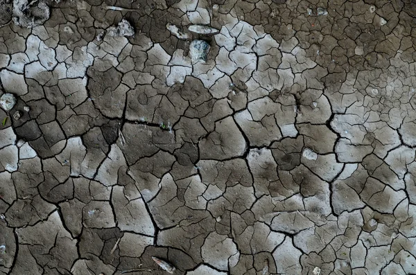 Cracked and dried mud texture