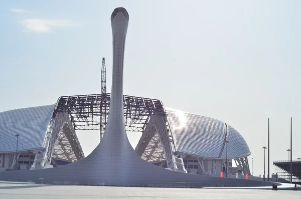 Olympic Flame, Fisht Olympic Stadium in Sochi, Russia, 2015