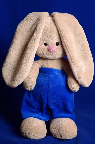 Soft toy Rabbit.