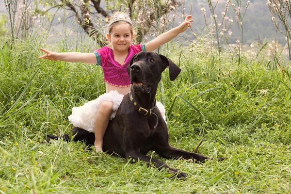 Girl sitting on her dogs in a park field