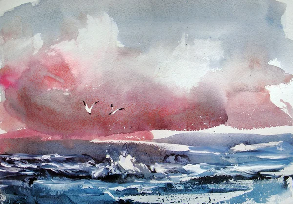 Seagulls. Watercolor painting.