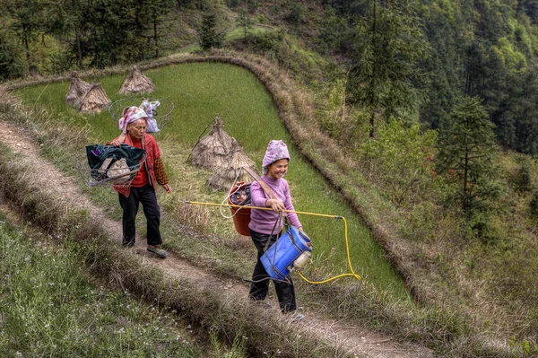Two Chinese women peasants, farmers, go on field work.