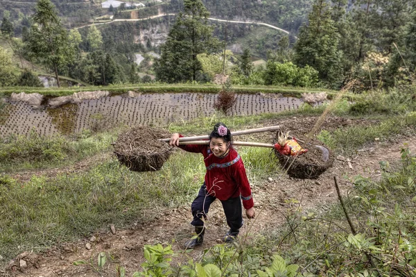 Chinese farmer woman carrying a heavy load on their shoulders.