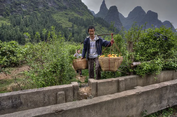 Chinese carrying pole over shoulder with baskets of oranges hang