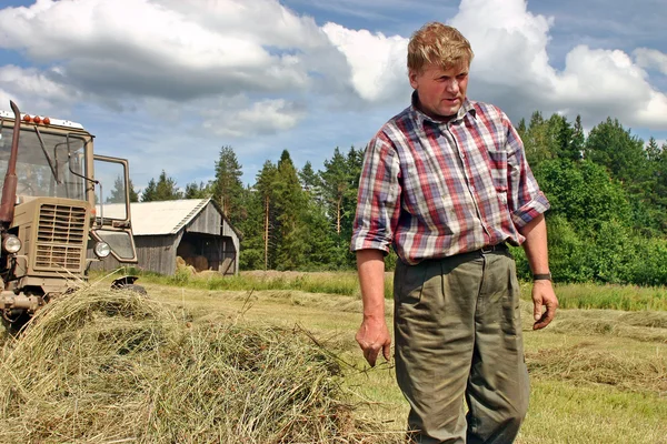 Harvest hay in Russian north, peasant tractor driver inspects hayfield.