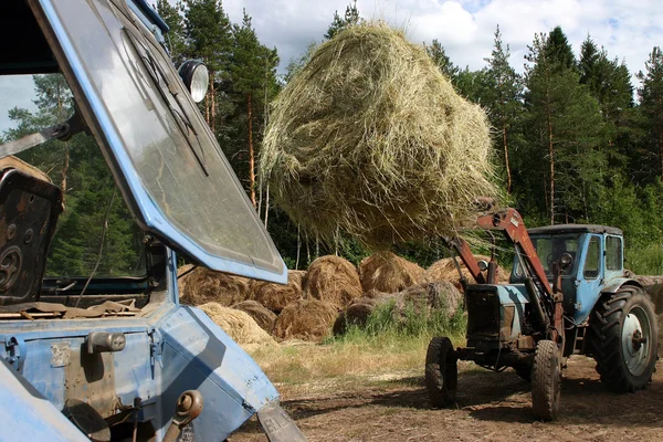Russian farming, Forklift truck loading round hay bales.