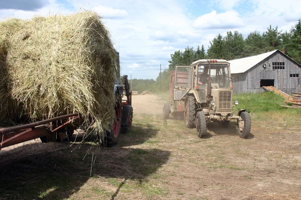 Russian Farm tractor moves round bales of hay near barn.