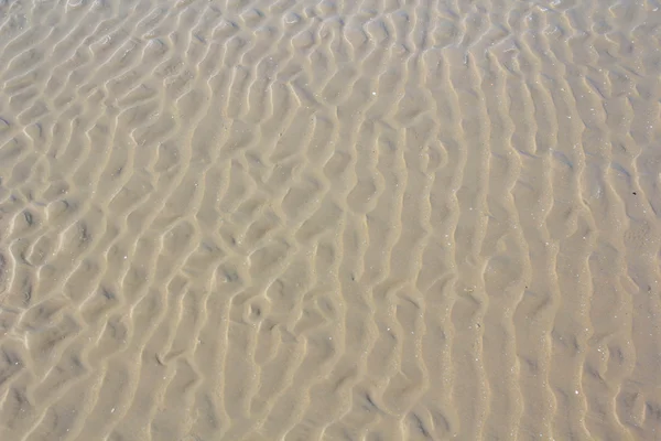 Seamless beach sand surface texture.