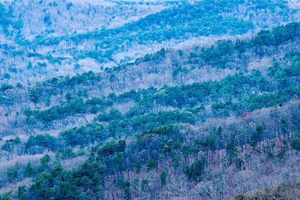 Blue Ridge Mountains in the Chattahoochee National Forest