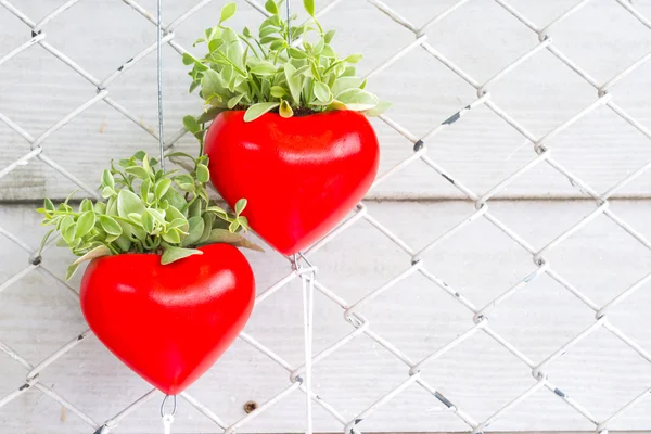 Red heart with a green plant