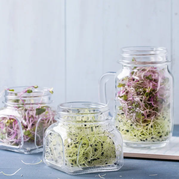 Fresh  Sprouts in mason jar