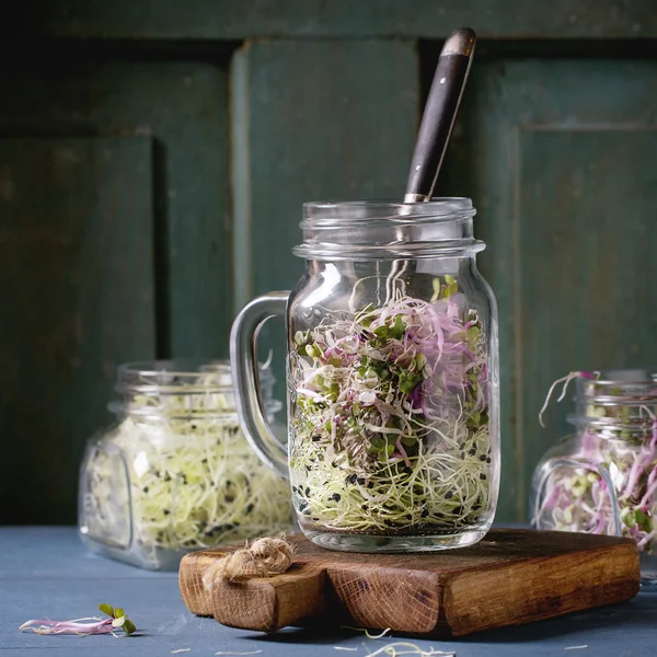 Fresh  Sprouts in mason jar
