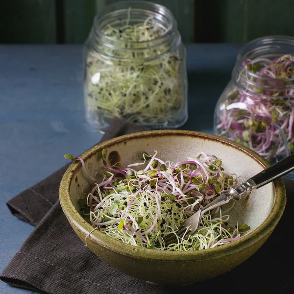 Fresh  Sprouts salad