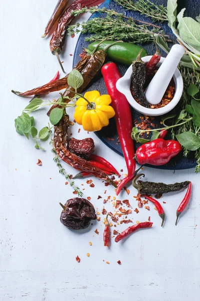 Assortment of chili peppers and herbs