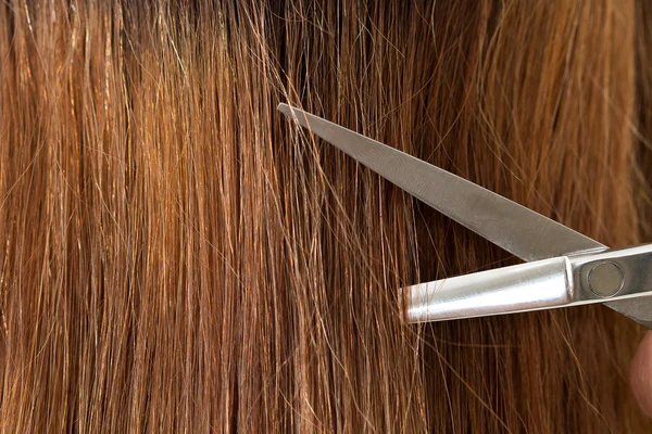 Close up view of hairdresser scissors cutting hair