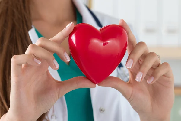 Close-up of female doctor hands holding read heart