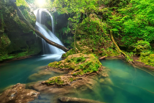 Stunning landscape in the deep forest with amazing waterfall,Romania