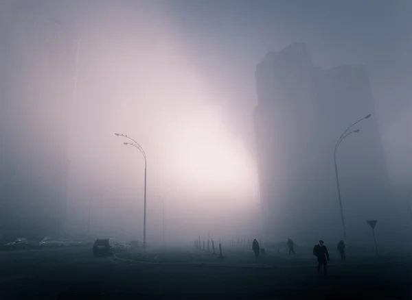 Foggy morning in city