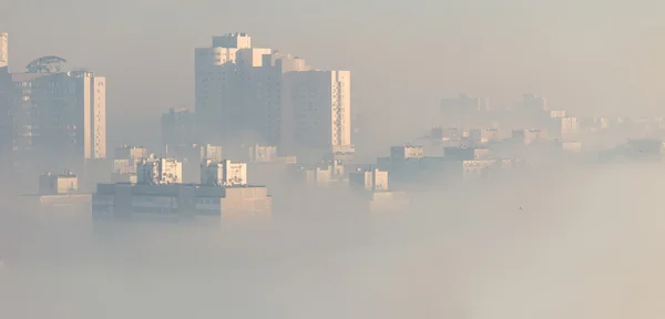Fog over city district.