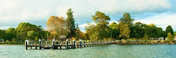 Waterfront  Landscape. Speers Point, Australia.