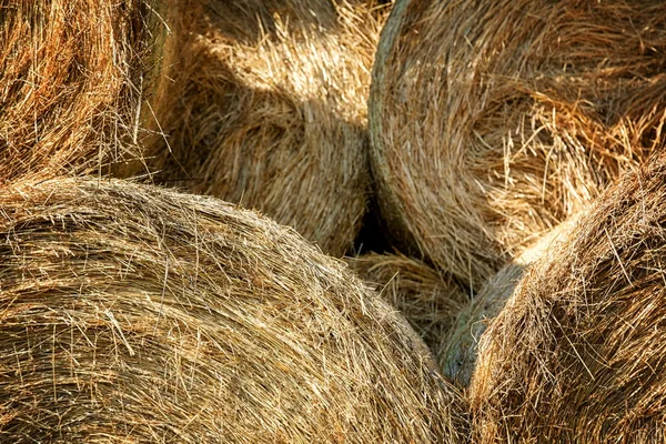 Straw bales of straw storage