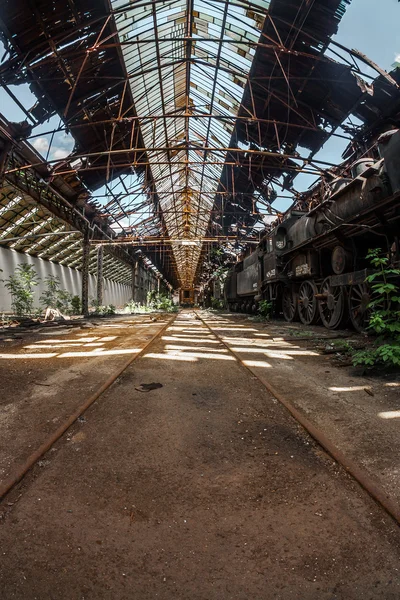 Old trains at abandoned train depot