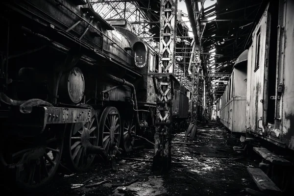 Some trains at abandoned train depot