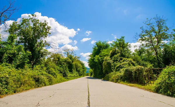 Old abandoned concrete industrial road with cracks on a sunny summer day with green trees and a blue cloudy sky