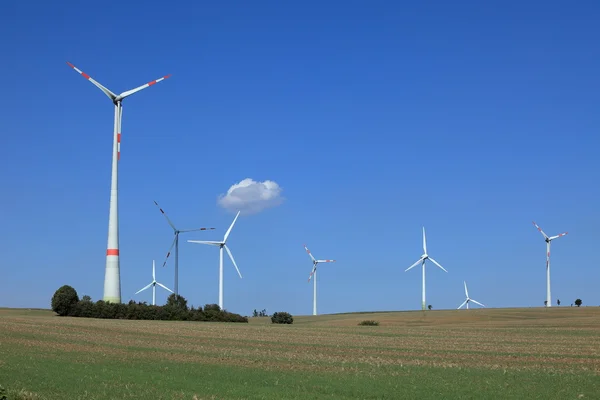 Wind turbines for electricity generation