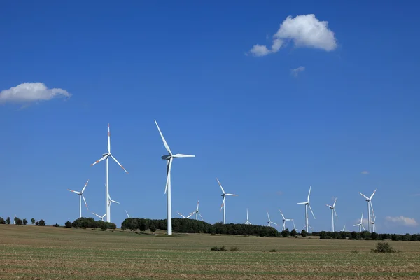 Wind turbines for electricity generation