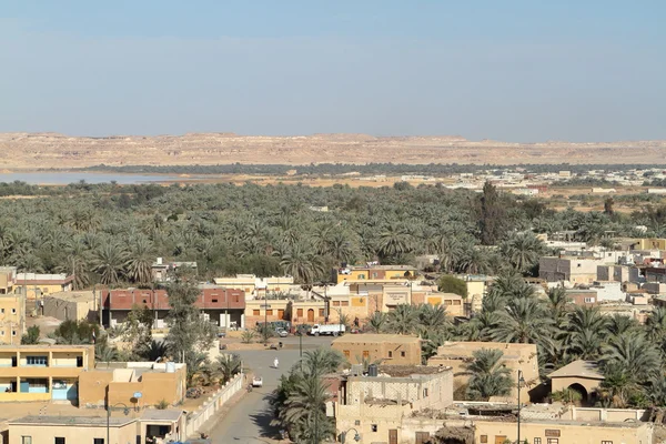 The Siwa Oasis in the Sahara of Egypt