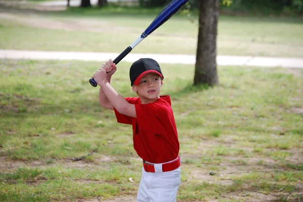 Cute little league baseball boy with bat.