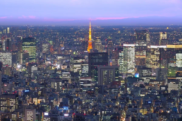 Tokyo city view