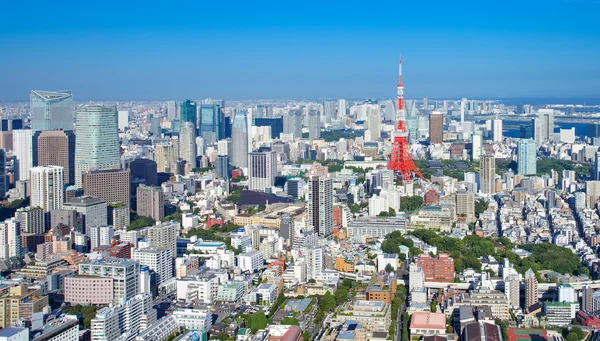 Tokyo city view