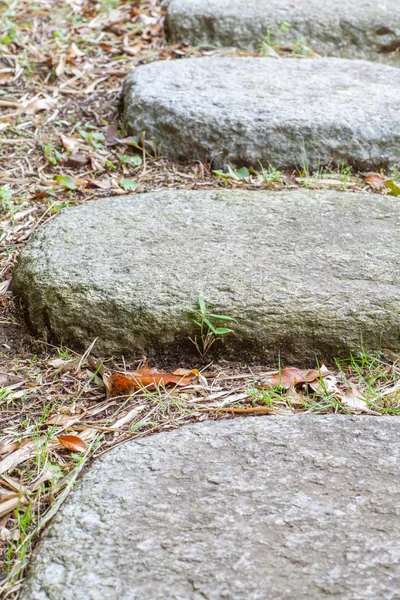 Zen stone path