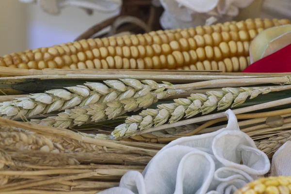 Ears of corn