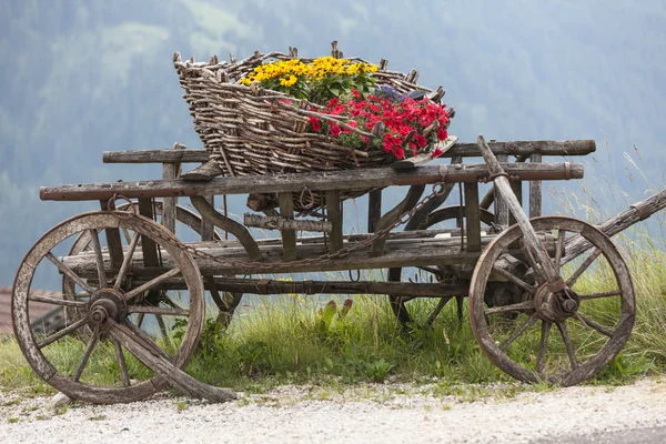 Wooden cart with flowers