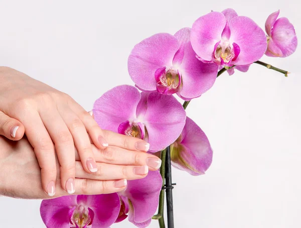 French manicure and orchid flower