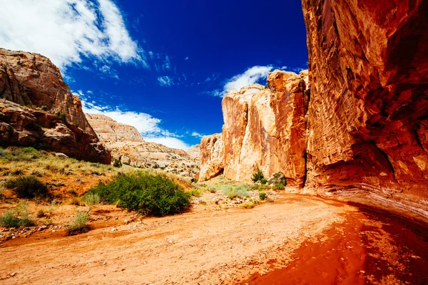 Grand Wash trail, Capital Reef National Park, Utah, USA