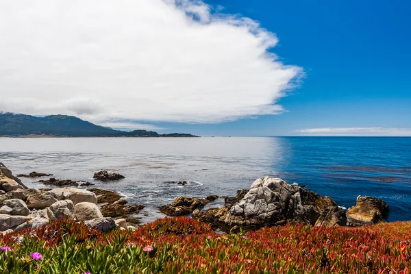 Pescadero Point at 17 Mile Drive in Big Sur California