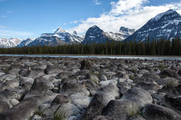 Wilderness of River and Rock