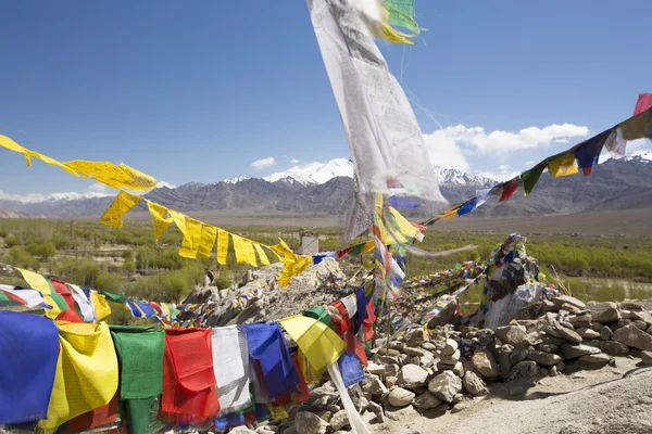 Tibetan prayer flags at Shey Palace, Ladakh, India